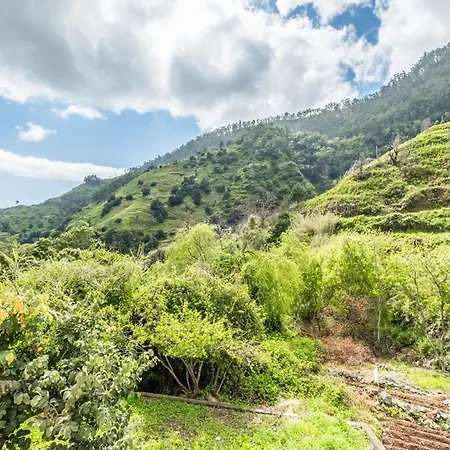 Valley Nest By Zest And Guest