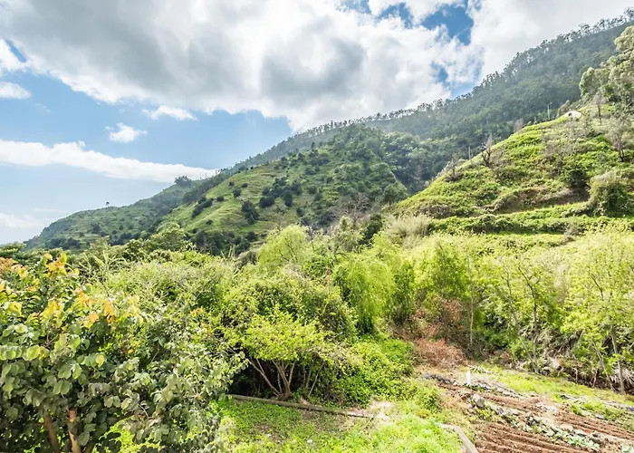 Valley Nest By Zest And Guest